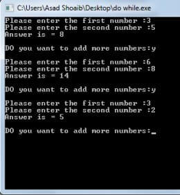 Do While Loop Example