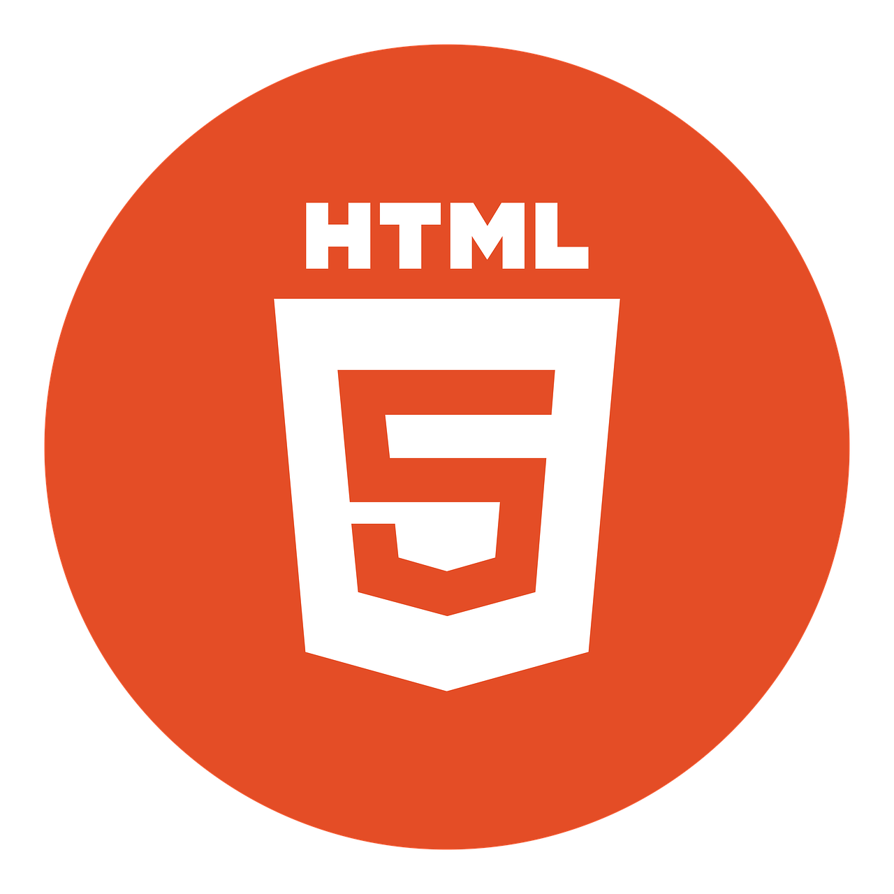 html 5 and flash player