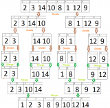Merge Sort in C++ with examples
